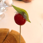 プレゼンテ スギ - ①トマト飴 定点