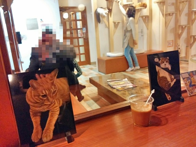 Neko Cafe Rabuneko - Nishi Yon Chome/Other | Tabelog