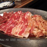 焼肉 大鵬 - カルビに豚バラにラムも