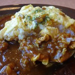 骨だしカレー 片岡屋 - とろとろ卵