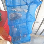 アルドアック - 熟成中の干し肉達