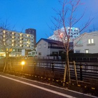 すし 弥助 - お店の前は山崎川