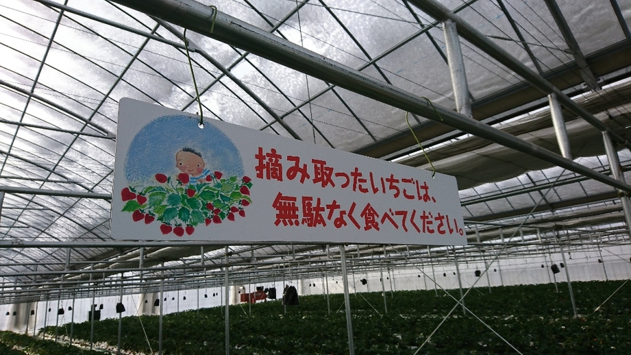 いちごの森 name=