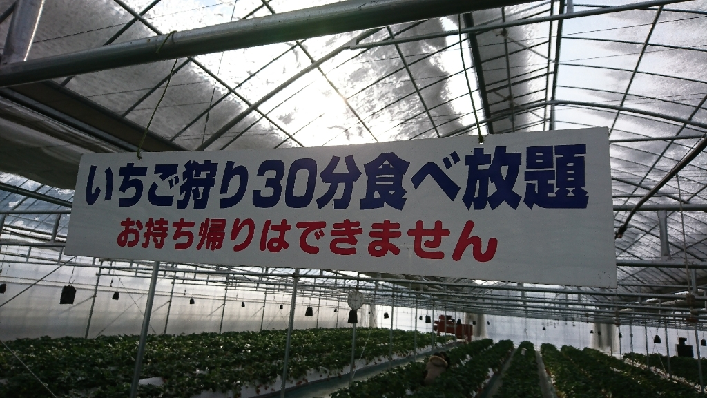 いちごの森 name=