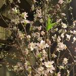 ビストロ ティアボ - 