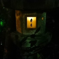 未在 - 
