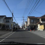 チャウチャウ - 外観