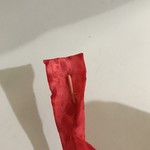 リュウ君の店 - 