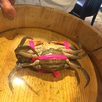 施家菜 - 