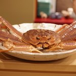 新ばし 笹田 - 松葉ガニbefore