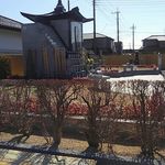 Terakafe Chuu Ka Soba Mizu Kami - 宝蔵寺