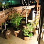 松もと - ビルの4階にあるけれど…鉢植えで和を多少演出。