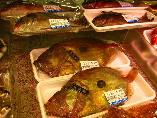 魚の東海北辰 name=