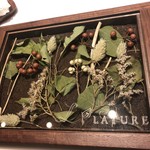 ラチュレ - サービスプレート