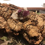 ラチュレ - 穴熊のリエット