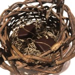 ラチュレ - グロゼイユのショコラ