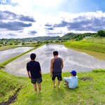 炭火焼肉　ひよりや - 神戸市北区山田町の米