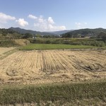炭火焼肉　ひよりや - 綺麗に刈りました