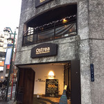 Ostrea - 