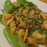 カサレッチョ - 豚肉とフレッシュトマト、ポルチーニのオレキエッテ