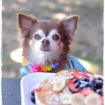 Barefoot Beach Cafe - ワンちゃんもウエルカムです^^