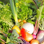 Restaurant 信 - 朝採り野菜