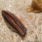 銀座 鮨 かねさか - 