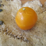 柚木元 - キンカン