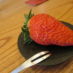 柚木元 - 巨大イチゴ
