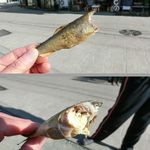 魚吉 - 子持ち鮎丸干し