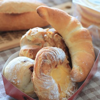 ポンパドウル_0