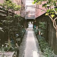 吉寅 - 