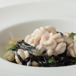 カンティーナ・アルバロンガ - 