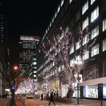 アピシウス - 夜の丸の内仲通り