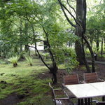 エンボカ 軽井沢 - 緑がいっぱいの中庭