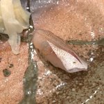 鮨 福原 - 春子鯛