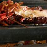 鉄板焼 心 - 伊勢海老