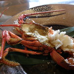 鉄板焼 心 - 活伊勢海老