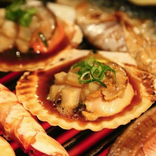 力丸 炉ばた焼 煉瓦 力丸亭_1