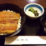 竹葉亭 - 竹葉亭 本店 ＠銀座 鰻お丼（B） 2,900円（税込3,132円）ご飯少な目でお願い