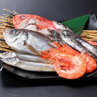駿河湾名物の深海魚や新鮮な旬の魚介を存分にお楽しみ頂けます！