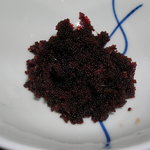 ペンション群林風 - たらばガニの外子