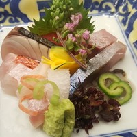 ふじ原 - お造りの盛り合わせ。
                ⑥生しゃこ
                ⑦〆鯖
                ⑧寒鰤
                ⑨炙り鰆
                ⑩キハダマグロの赤身
                ⑪鮃の縁側
                ⑫鮃
                ⑬あおり烏賊
                ⑭炙り金目鯛