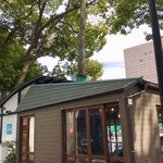 お好み焼き 八昌 - 【おまけ写真】厳島神社の横には、不思議な店が並んでいた。樹木が建屋から突き出ていたのだ。