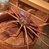 かにじぇんぬ 北新地 - 