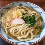 琴平うどん - 琴平うどん