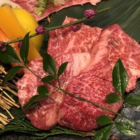 牛歩 - 