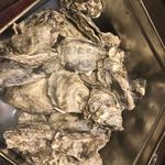 海鮮居酒や 小鉢 - 