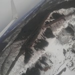 日本料理 たかむら - 