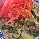 吉野家 - 牛丼並(*´ω`*)つゆだく 紅生姜 七味